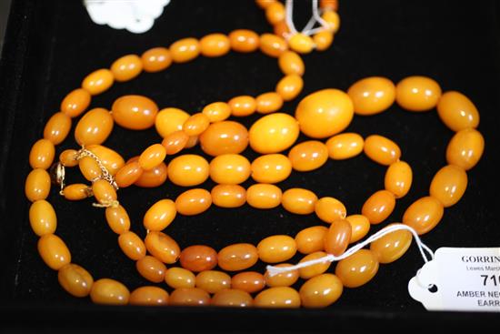 A single strand graduated oval amber bead necklace, 1.5in.